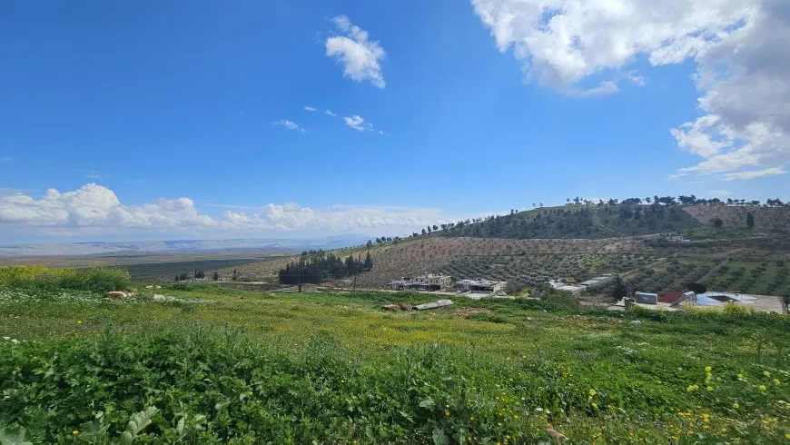 مشاهد من عفرين