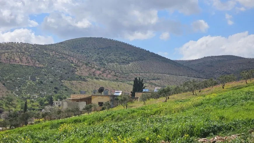 مشاهد من عفرين