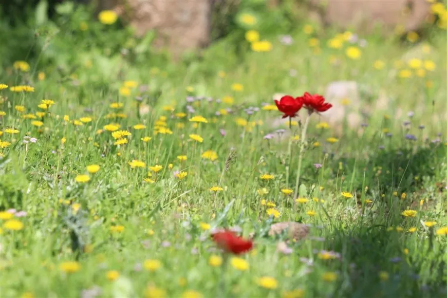 عطّار في الحسكة يحافظ على مهنة ورثها منذ عقود