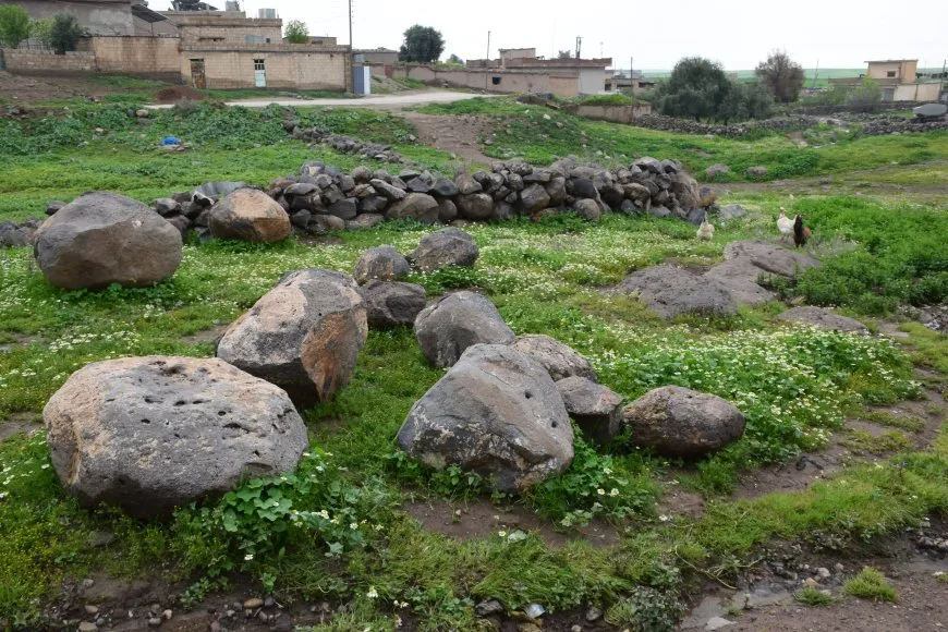 انتعاش تربية النحل.. الأمطار تعيد الأمل بعد سنوات الجفاف