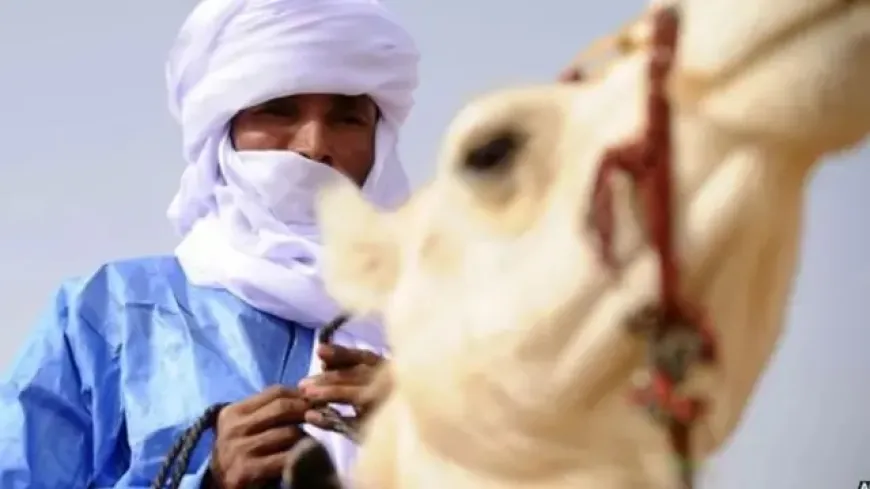 سيطرة "تحرير أزواد" على كيدال تُشعل الصراع مجدداً في شمال مالي