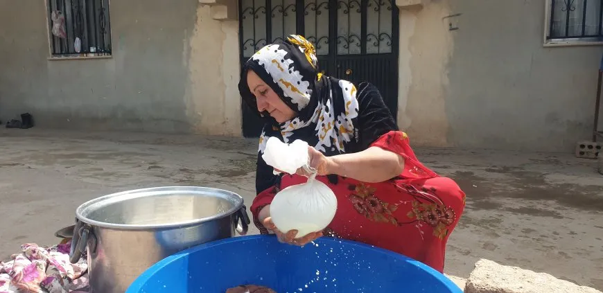 من تقاليد الجدات إلى مؤونة الشتاء.. الجبن والسيرك واللورك