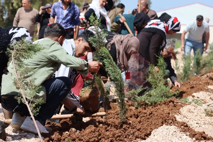 حزب الخضر يزرع 150 شجرة في قامشلو ضمن مبادرات بيئية