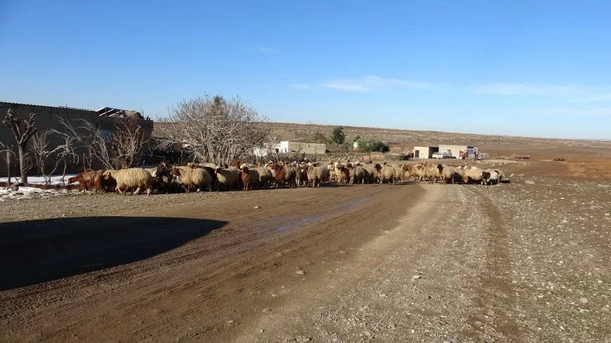 مشكلات خدمية في ريف ديرك وجل آغا وخطط صيانة مرتقبة