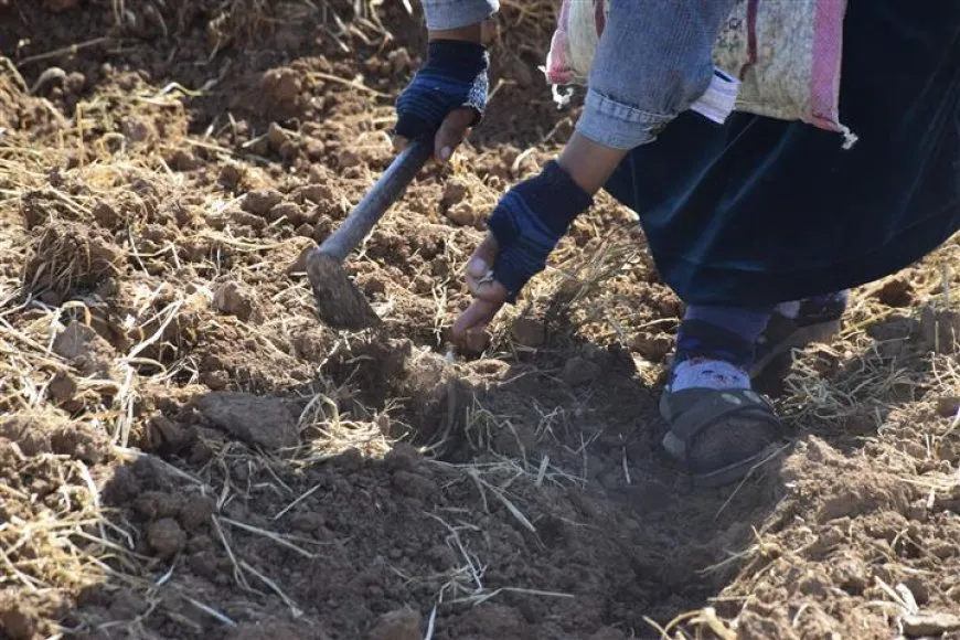 النساء العاملات يطالبن بالإنصاف والحقوق في عيد العمال العالمي