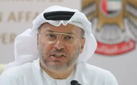 قرقاش: لا يمكن الوثوق بترتيبات إيرانية أحادية في مضيق هرمز