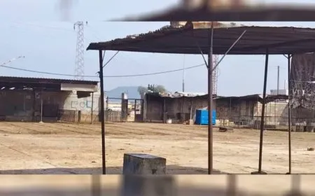 سوق الغنم في حماة بين الركود الاقتصادي والفوضى الأمنية