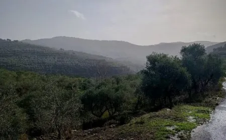 منخفض جوي متوسط يؤثر على سوريا ويُرافقه أمطار رعدية ورياح