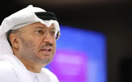 قرقاش: الثقة مع إيران مفقودة