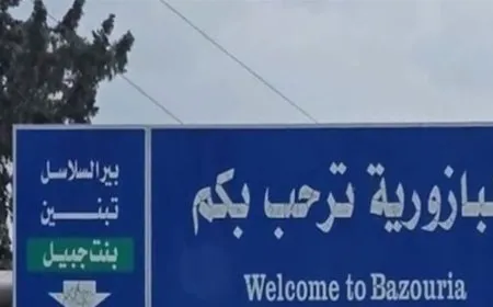مقتل وإصابة 5 أشخاص بقصف إسرائيلي على جنوب لبنان