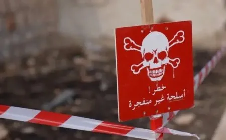 بولندا تقدم 250 ألف دولار لدعم إزالة الألغام في سوريا