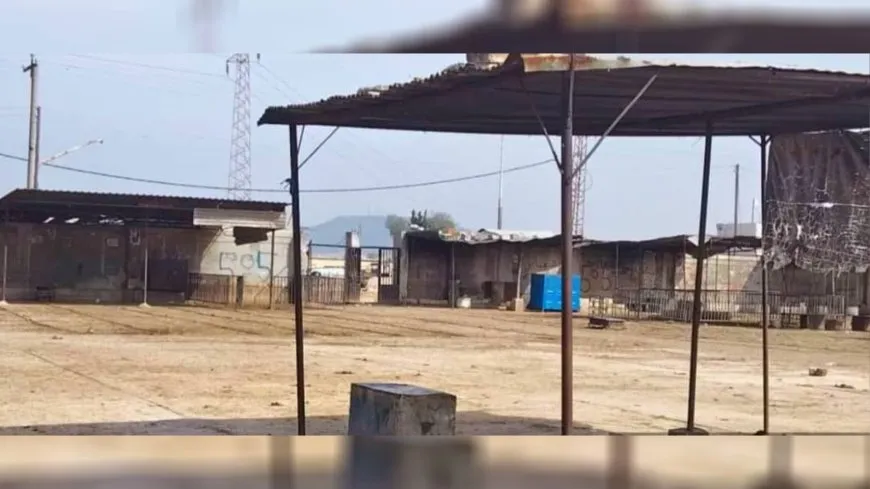 سوق الغنم في حماة بين الركود الاقتصادي والفوضى الأمنية
