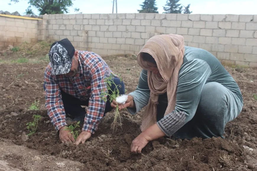 بساتين الخضار تعود إلى آليان.. خيار أمثل لتحقيق الاكتفاء الذاتي