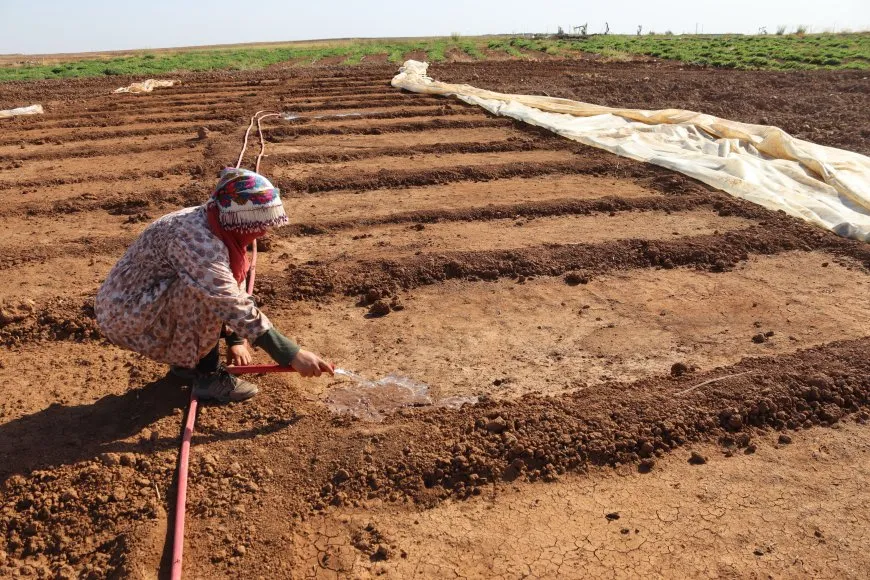 الجمعيات النسائية خطوة نحو الاكتفاء وتمكين المرأة في القطاع الزراعي