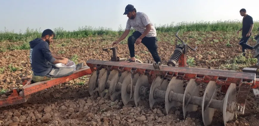 بعد سنوات الجفاف عودة زراعة البطيخ البعلي إلى منطقة آليان