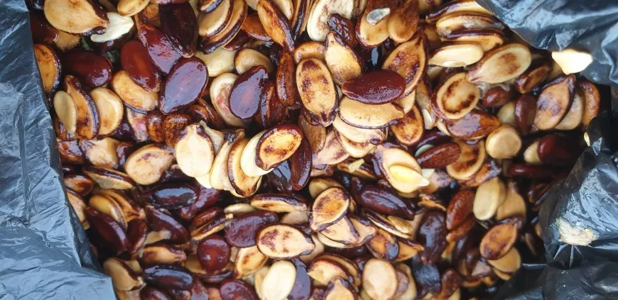 بعد سنوات الجفاف عودة زراعة البطيخ البعلي إلى منطقة آليان