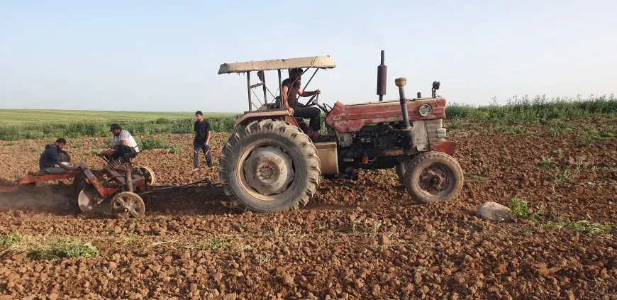 بعد سنوات الجفاف عودة زراعة البطيخ البعلي إلى منطقة آليان