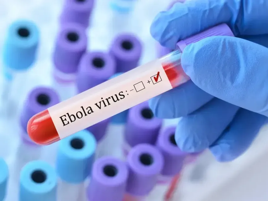 رفع مستوى خطر تفشي إيبولا في الكونغو من مرتفع إلى مرتفع جداً