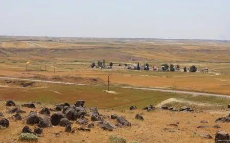 طبيعة "آليان" لوحة فنية ساحرة تجمع بين اصفرار الحقول وبهجة الصيف