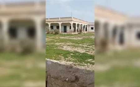 "حوّلوا منزلي إلى حظيرة للمواشي"