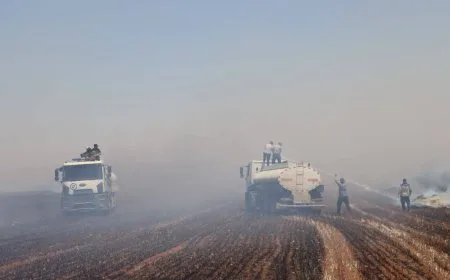 183 حريقاً في سوريا 35 منها في الحقول والمحاصيل الزراعية