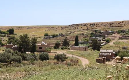لوحة صيفية نابضة بالحياة في ريف كركي لكي