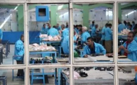 تقرير حقوقي يكشف تشغيل السجناء قسراً في مشاريع زراعية وصناعية بإيران