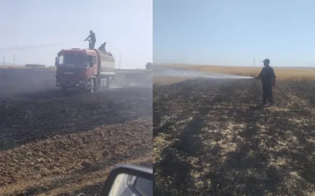 إخماد عدة حرائق في محاصيل القمح والزيتون جنوب وغرب تل تمر