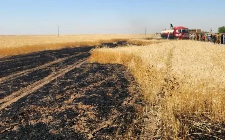 إخماد حريق في محصول قمح شمال جل آغا