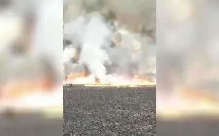 حريق يلتهم أراضٍ زراعية في كوجرات وفرق الطوارئ تتدخل وتسيطر عليه
