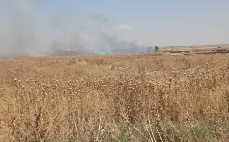 اندلاع حرائق في عدة قرى بريف زركان وتل تمر وفرق الإطفاء تتدخل