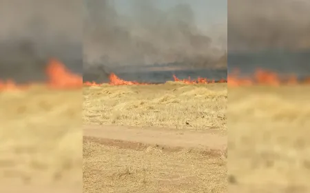 فرق الطوارئ والأهالي يخمدون حريقاً واسعاً في قرية بريكان جنوب تل تمر