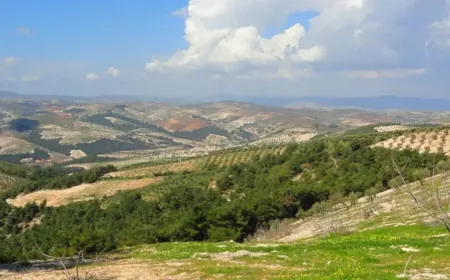 خطف شاب والاعتداء عليه في ريف عفرين وسط خلافات حول منازل مستولى عليها