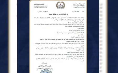 المؤسسة السورية للحبوب تصدر تعميماً بصدد مزارعي الحسكة