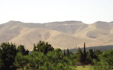 انخفاض الحرارة بمعظم المناطق السورية باستثناء الجزيرة 