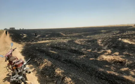 حريق يلتهم 65 دونماً من القمح والفراز بريف الدرباسية