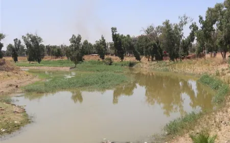 جريان الخابور بعد 6 أعوام من الجفاف ينعش الزراعة ويخفف الأعباء البيئية