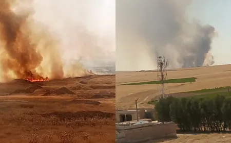 اندلاع حريق في أراضٍ زراعية بريف تل تمر