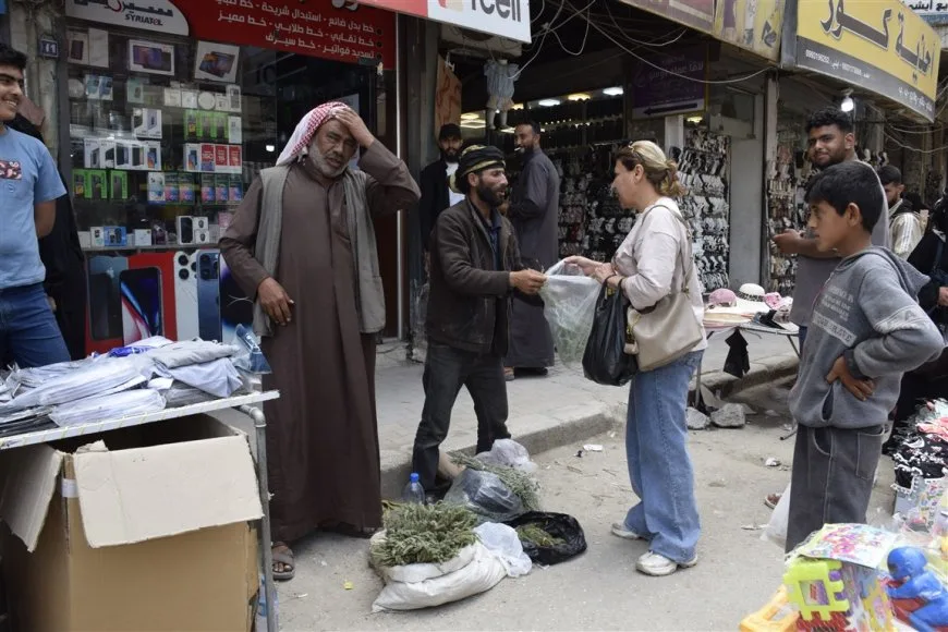 النباتات العطرية مصدر رزق لعشرات العائلات في ريف الحسكة