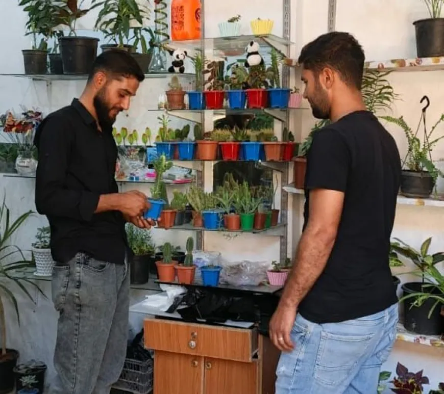 شابان يحوّلان شغفهما بنباتات الزينة إلى مشروع ناجح رغم التحديات