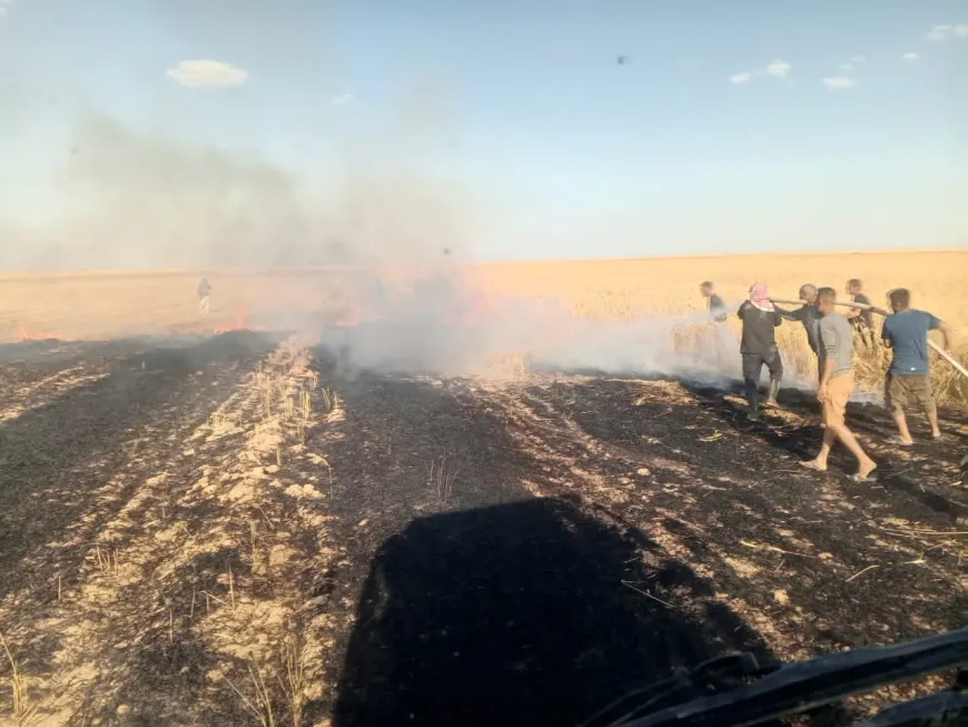 احتراق نحو 200 دونم من محصول القمح في ريف الحسكة