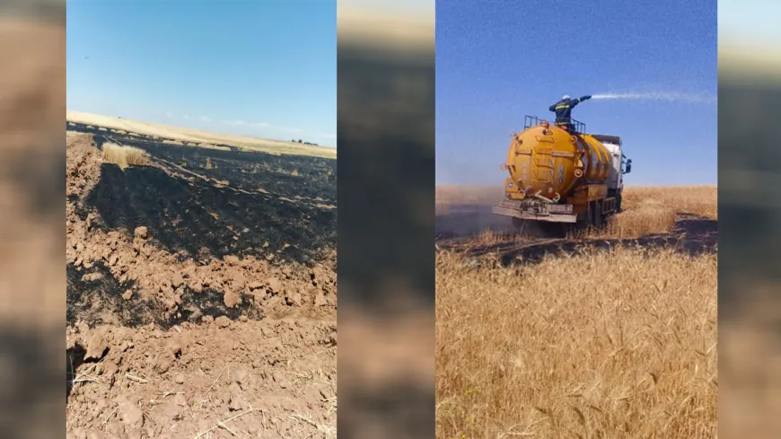 السيطرة على حريق اندلع في محصول قمح جنوب الدرباسية