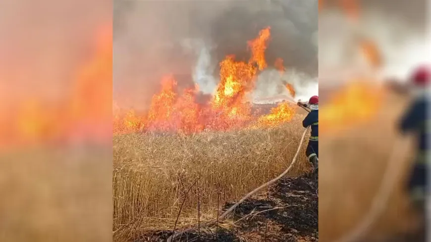 السيطرة على حريق في ريف الحسكة التهم 80 دونماً من الأراضي الزراعية