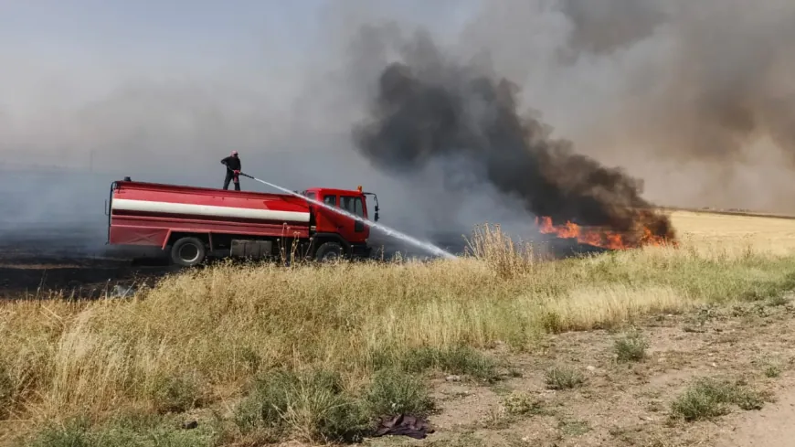 حرائق واسعة تلتهم مئات الدونمات في أرياف قامشلو وجل آغا وتربه سبيه