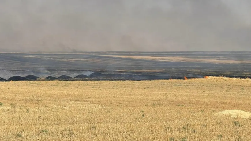 حرائق واسعة تلتهم مئات الدونمات في أرياف قامشلو وجل آغا وتربه سبيه