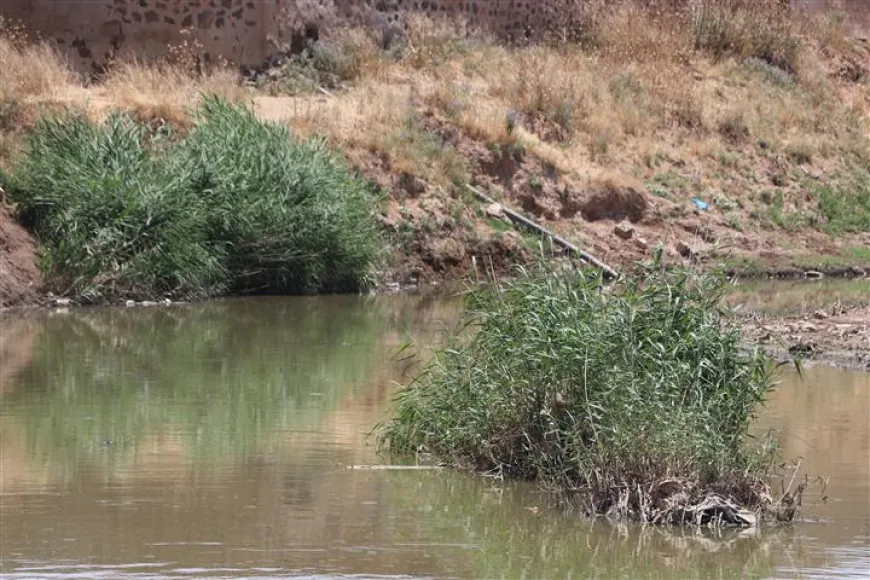 جريان الخابور بعد 6 أعوام من الجفاف ينعش الزراعة ويخفف الأعباء البيئية