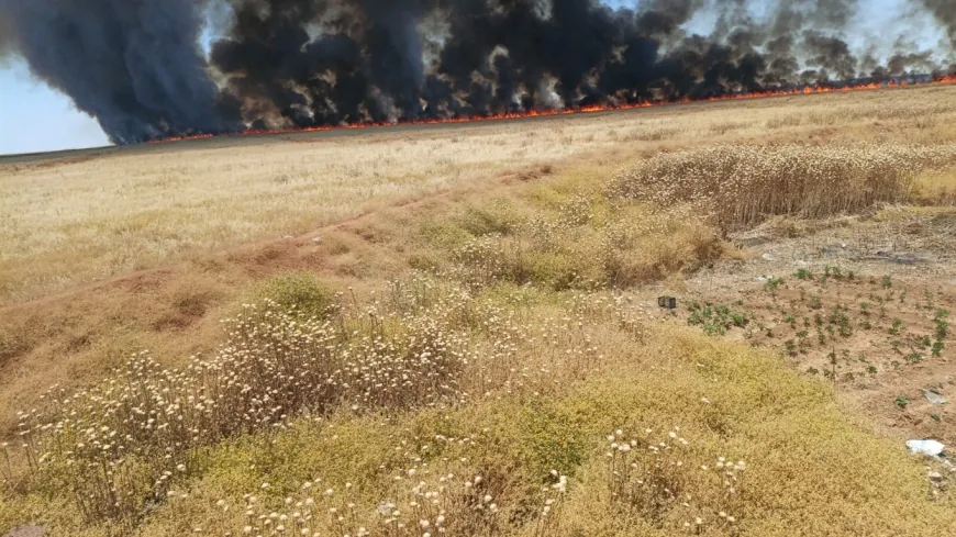 33,016 دونماً من الأراضي الزراعية التهمتها الحرائق منذ بداية موسم الحصاد