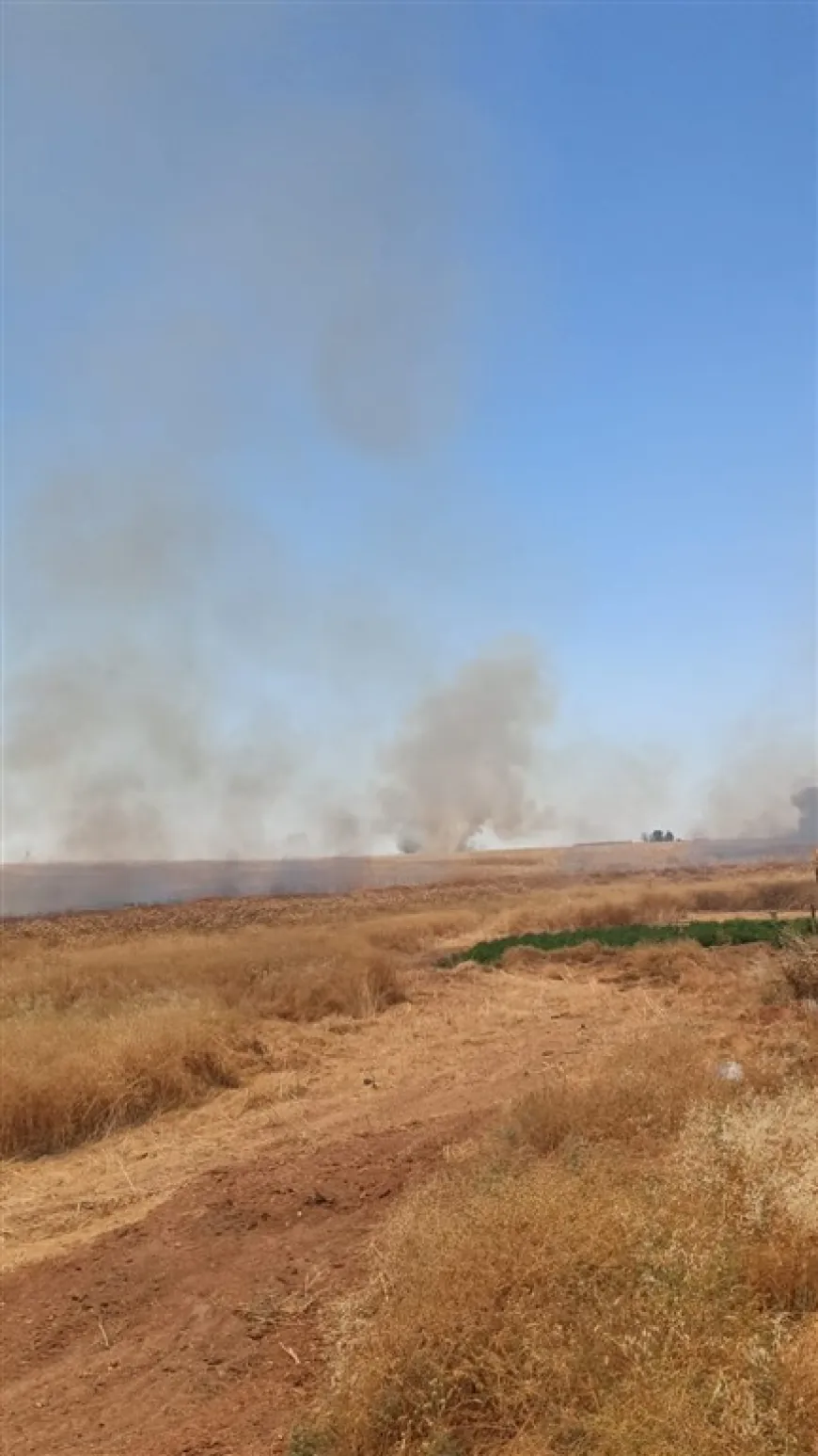33,016 دونماً من الأراضي الزراعية التهمتها الحرائق منذ بداية موسم الحصاد