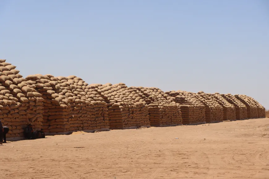 مزارعون يشتكون من تأخر استلام القمح وإدارة صوامع كرزيارت توضح الأسباب