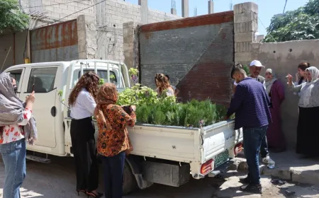 توزيع أشجار زينة في حي كانيا كوردا تخليداً لذكرى الشهيدة روجنك جودي
